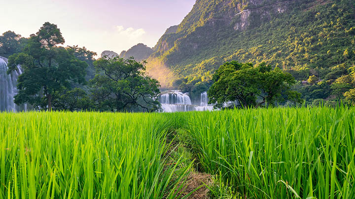 通过有道翻译下载实现高效文档翻译全指导2025年 二