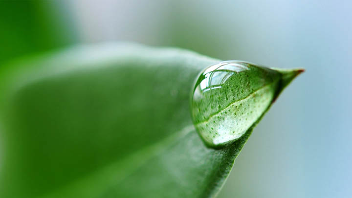 有道翻译下载怎么翻译文档？全流程离线安装包+实操指南解析 二