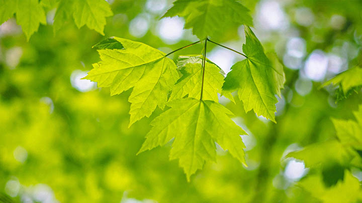 有道翻译下载：文档翻译设备3步解锁 二