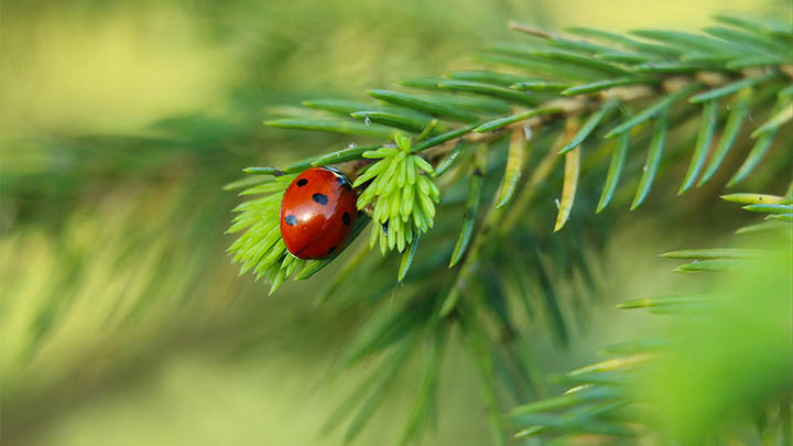 有道翻译下载如何操作？2025年平板文档翻译指南 二