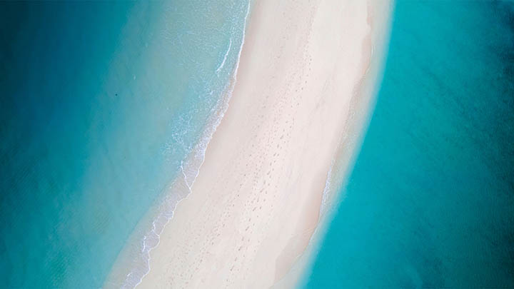 有道翻译下载快捷键：高效操作指南3步 二