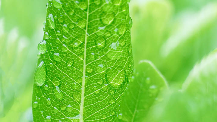 有道翻译快捷键功能详解：如何轻松下载和设置？ 二