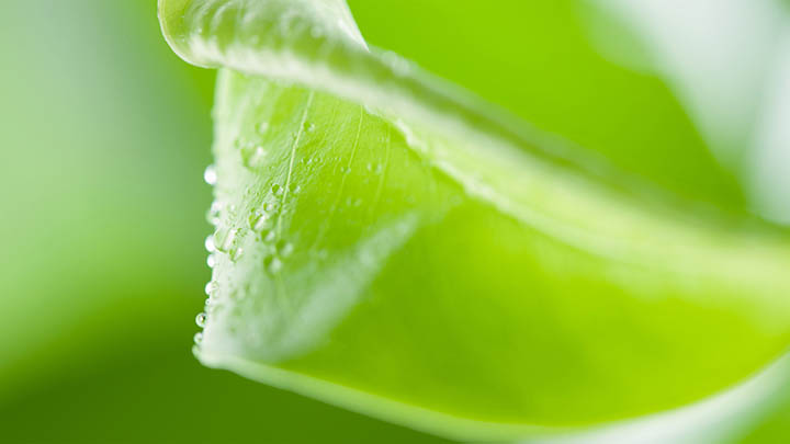 有道翻译无法设置快捷键?多平台兼容设置指南! 二