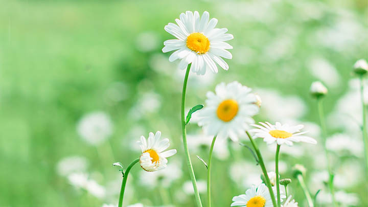 修改默认快捷键设置 二