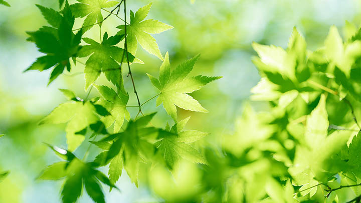 有道翻译快捷键全解析？下载设置+使用技巧应对所有疑问 二