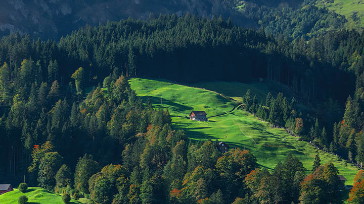苹果用户如何设置有道翻译下载快捷键？手把手教你秒开翻译功能！ 二
