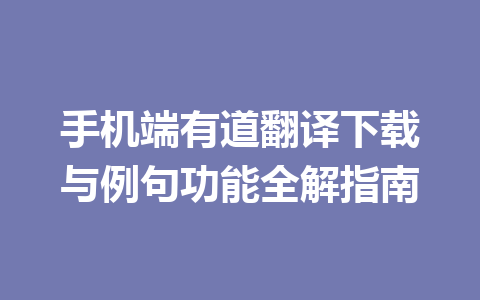 手机端有道翻译下载与例句功能全解指南 一