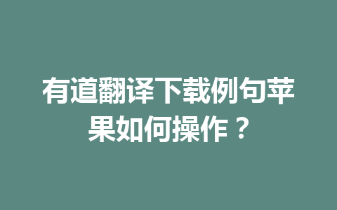 有道翻译下载例句苹果如何操作? 一