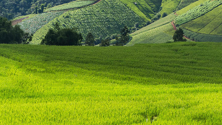 有道翻译生词本怎么下载？详细教程全解 二