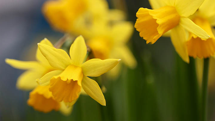 有道翻译下载生词本设备无法同步？超实用解决技巧一文全掌握 二