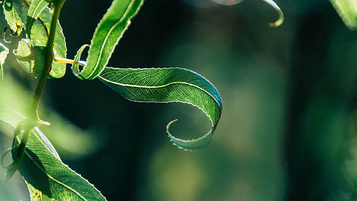 有道翻译下载词典系统全教程，轻松掌握使用技巧！ 二