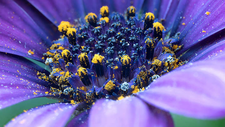 有道翻译下载词典安卓怎么用?详细安装教程与实用技巧解析 二