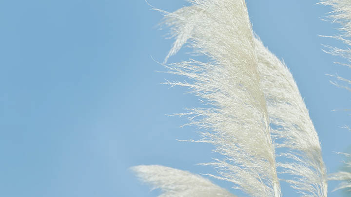 有道翻译下载：轻松掌握例句使用技巧 二