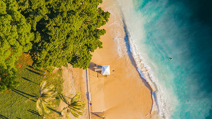 有道翻译下载例句怎么用？官方详细教程 二