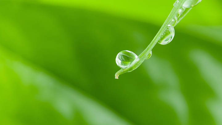 有道翻译怎么下载发音?详细网络攻略 二