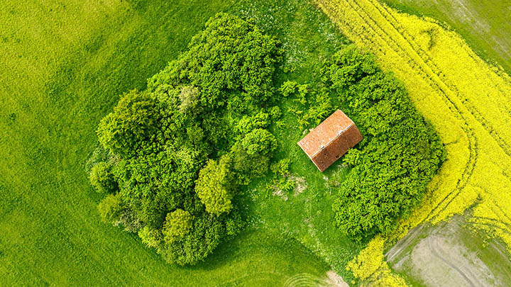 有道翻译软件下载与发音功能使用全攻略支持Win/Mac系统 二