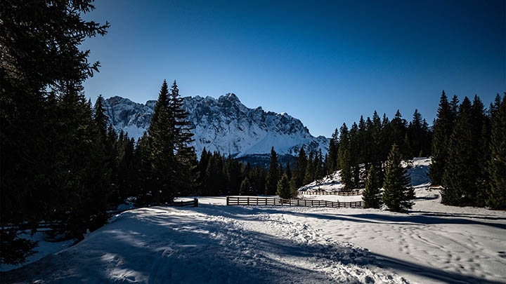 有道翻译下载历史记录如何查看？详细指南解析 二