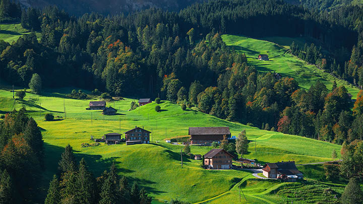 有道翻译下载历史记录版本：快速获取旧版教程 二