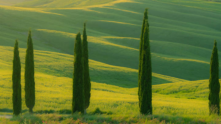 安卓端有道翻译下载历史记录全揭秘2025年图解指南 二