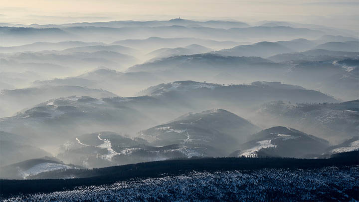有道翻译下载历史记录在哪看?苹果设备操作详解 二