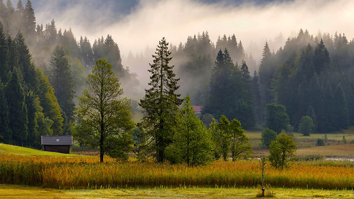 有道翻译下载云同步设备如何实现跨平台操作? 二