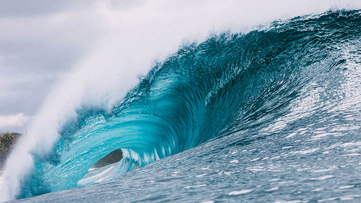 有道翻译下载解决会员问题三步攻略零基础到高手 二