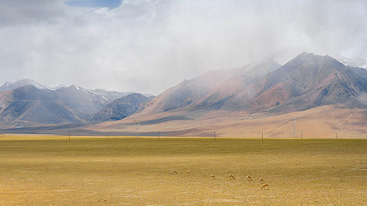 有道翻译下载会员版本详解:快速上手必备技巧 二
