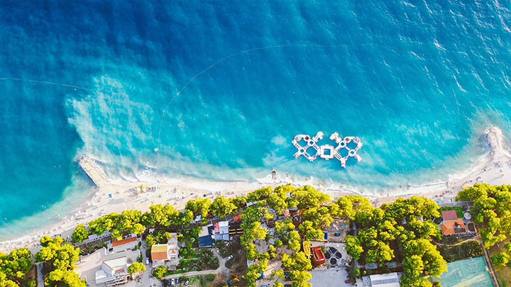 有道翻译会员安卓版下载攻略:如何轻松获取最新版APP 二