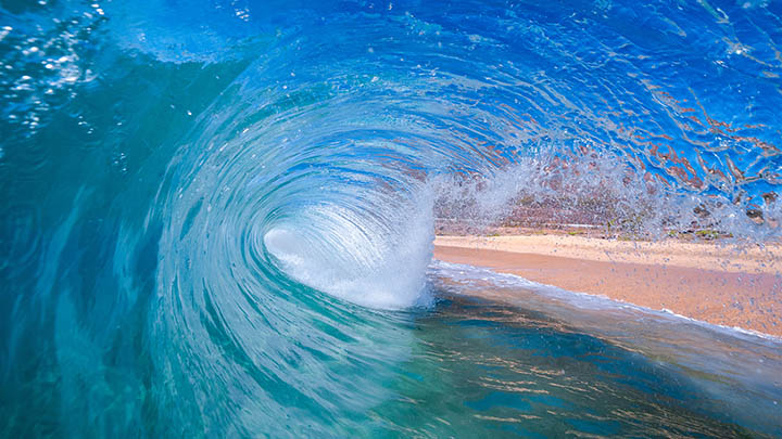 电脑版有道翻译会员下载指南:轻松安装Win/Mac全支持 二