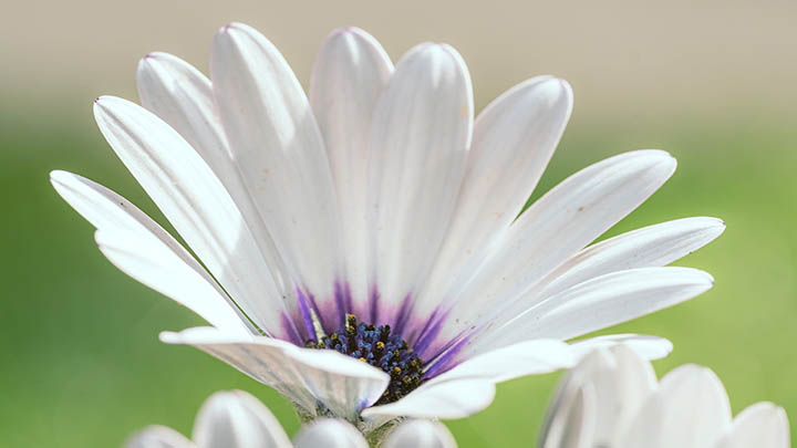 有道翻译如何下载？详细教程教你轻松获取翻译工具 二